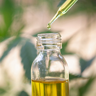 Cannabidiol-Öl: Was kann es wirklich?